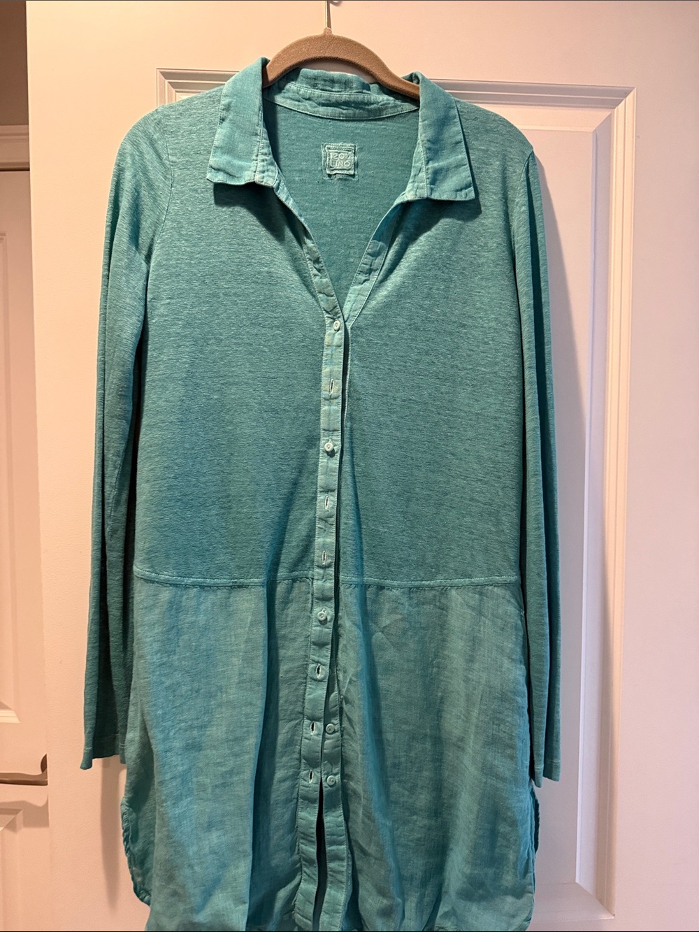 Long-Sleeve Mini Dress in Light Teal Button-Front
